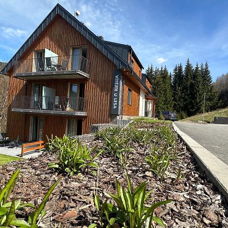 Apartmany U Lesa Dolni Morava Bagian luar foto