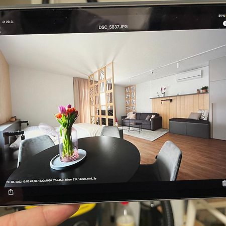 Apartmany U Lesa Dolni Morava Ruang foto