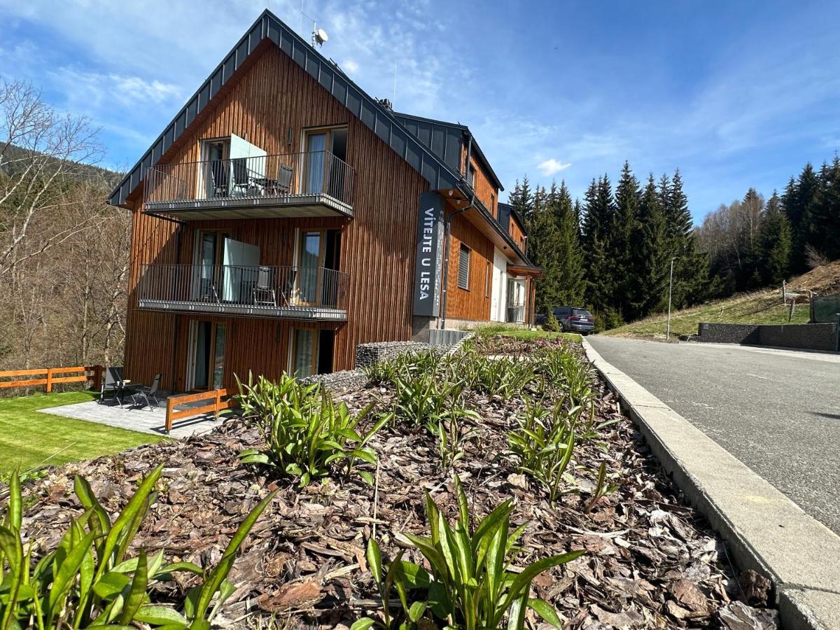 Apartmany U Lesa Dolni Morava Bagian luar foto