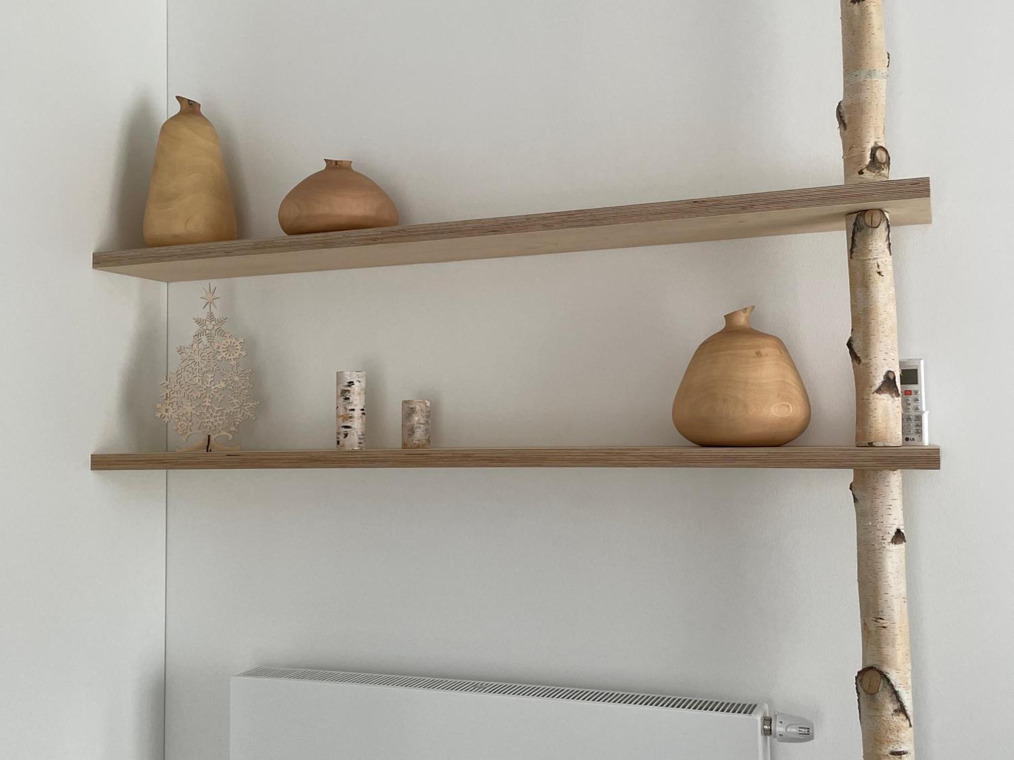 Apartmany U Lesa Dolni Morava Ruang foto